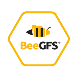BeeGFS